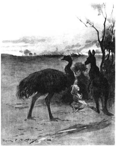 THE EMUS HUNTING THE SHEEP
