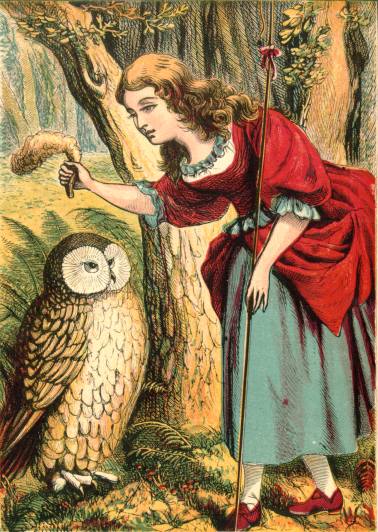 Illustration: Bo-peep and Owl.