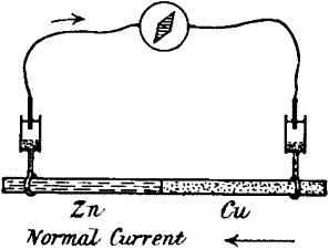 Fig. 51.—Current of Response towards the Stimulated End