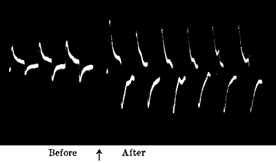 Fig. 58.—Effect of Annealing on increasing the Response of both A and B Wires (Tin)