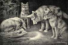 "OH, DON'T MENTION IT!" EXCLAIMED THE WOLF; "NO DOUBT WE SHALL FIND SOMETHING
FOR DINNER PRESENTLY."