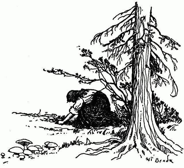 Illustration: Mrs. Shimerda gathering mushrooms in a Bohemian forest