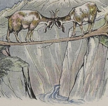 Goats on the bridge