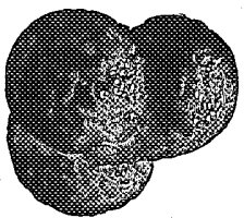 Fig. 1.—Concretion.