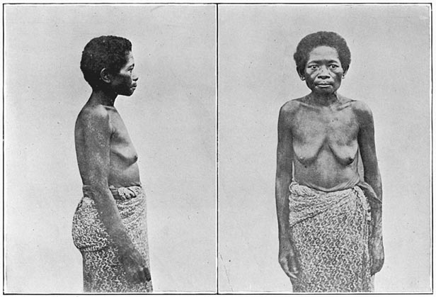 Old Negrito woman of Zambales (pure blood).
