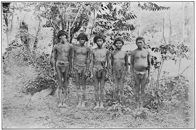 Negritos of Zambales (mixed bloods).