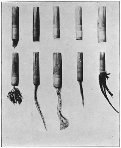 Combs worn by Negritos of Zambales.