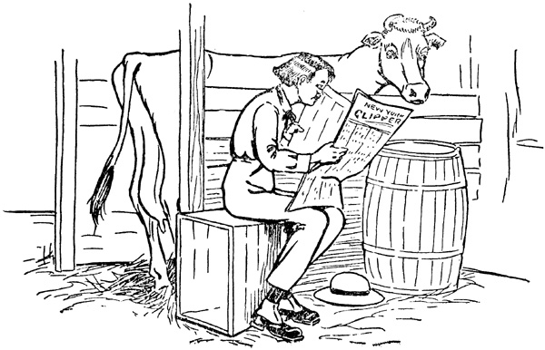 Newspaper in the cow stable