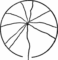 Circle has one line entering at the gate and going to the centre, from which several more lines to the edge emanate.