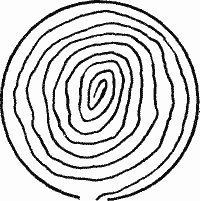 A very smooth anticlockwise spiral from the gate to the centre.  The lines are closer together than in previous examples.