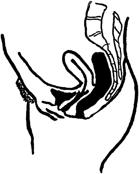 Anteversion of the Uterus