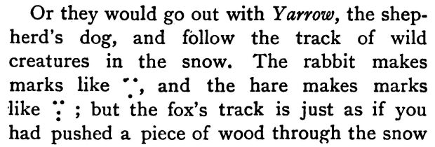 Tracks of Hare and Fox 