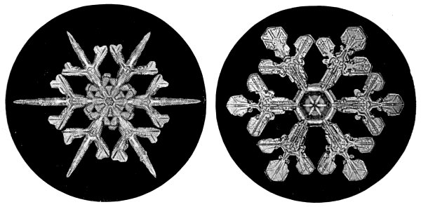 snow-flakes from the middle regions of the air.