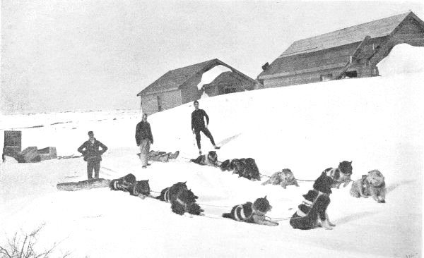 HUDSON BAY: R.N.W.M. POLICE WITH DOGS.