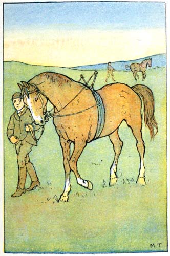 Man leading horse with a training rig