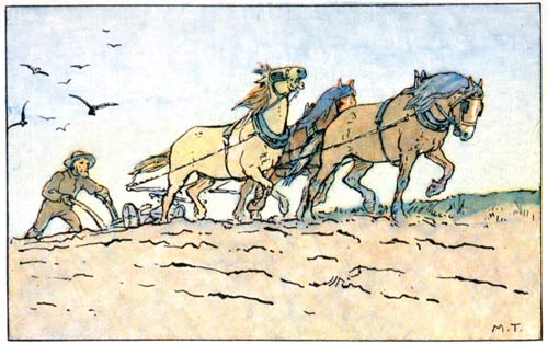 Three horses pulling a plow across a field