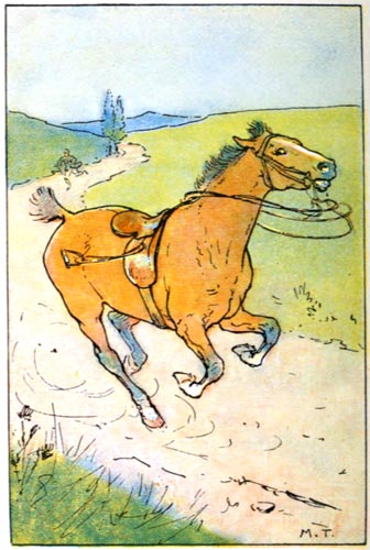 A runaway horse with a man chasing behind