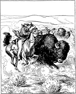 A man on horseback racing beside a buffalo