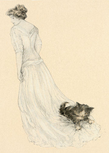A kitten hitches a ride on the back of a lady's long dress