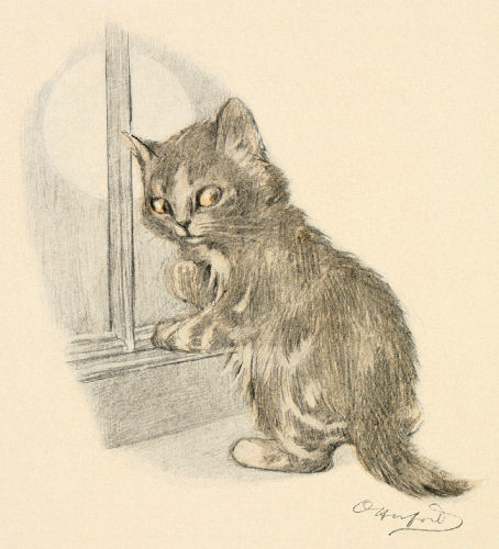 A kitten looks round from a window, while the moon shines outside