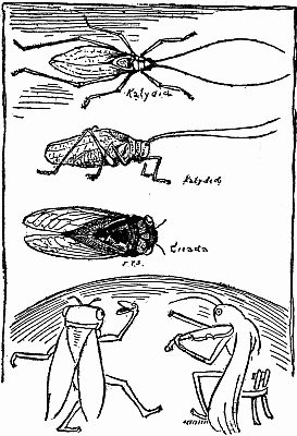 The Cicada and the Katydid (life size)