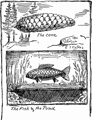 The Fish and the Pond—and the Cone