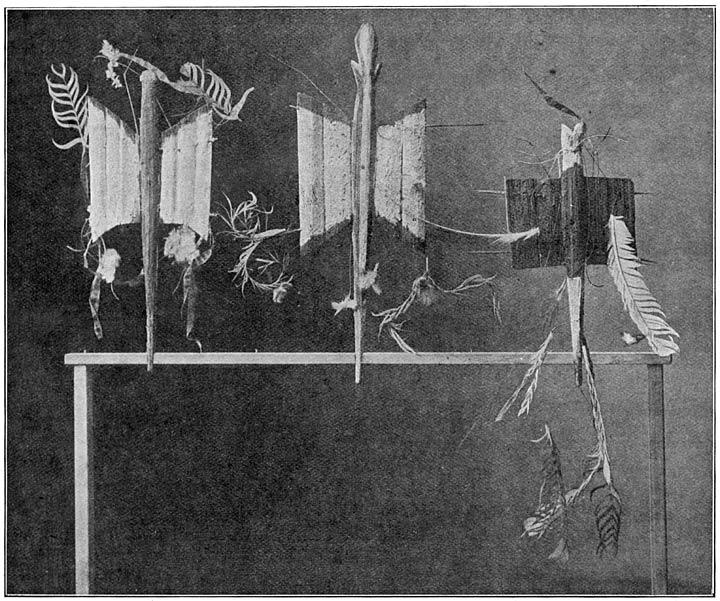 Dans-attributen in den vorm van vogels, Merauke (13234–36). 1/5.5 ware grootte.