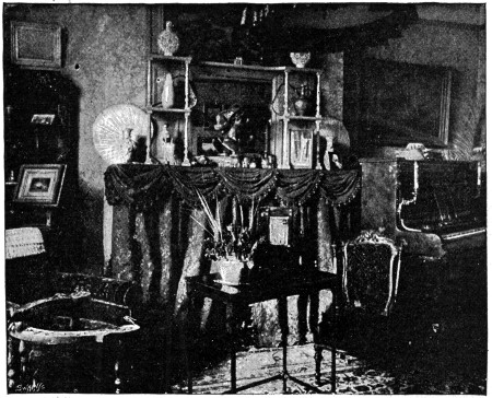 THE DRAWING-ROOM.