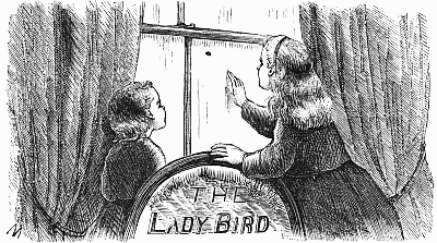 The Lady-Bird
