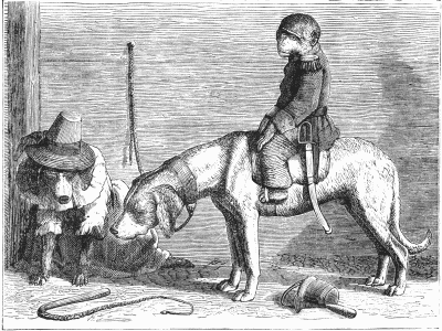 John Ray's Performing Dogs