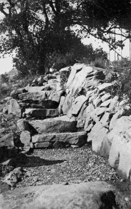 Wherever possible make the entrance to the rock garden a
rough flight of steps. Excavate if necessary. Plant the step crevices as
well as those of the side walls