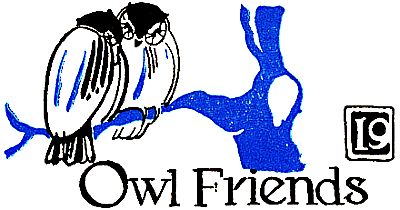 19: Owl Friends