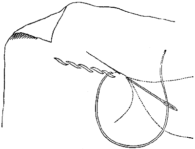 and especially in outlines of flowers, unshaded leaves, and arabesque, and especially in outlines of flowers, unshaded leaves, and arabesque,