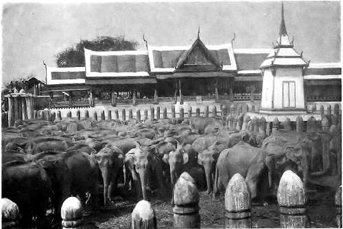 The famous Elephants' Kraal