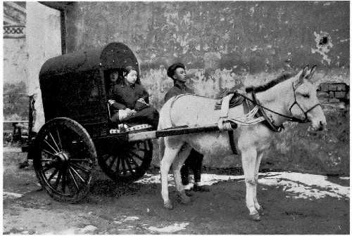 A Peking cart