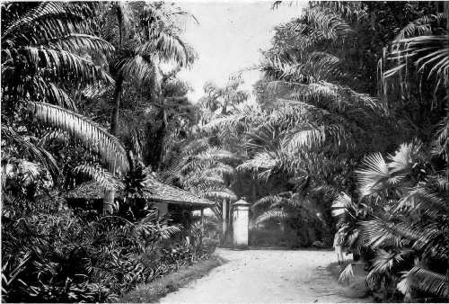 Entrance to the Botanical Gardens, Kandy