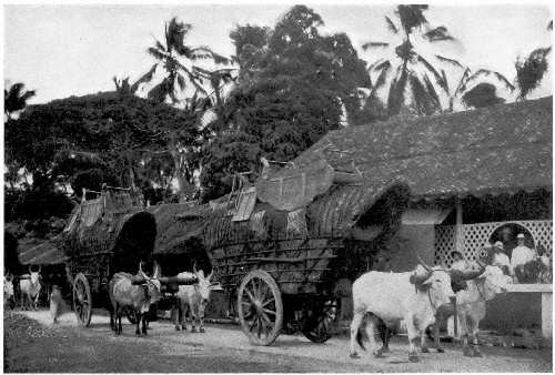 Street scene in Kandy, Ceylon