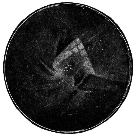 Fig. 20.—Sextuple star θ in the Nebula of Orion.