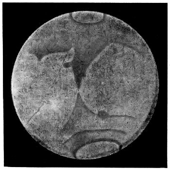 Fig. 41.—Telescopic aspect of the planet Mars (Feb.,
1901).