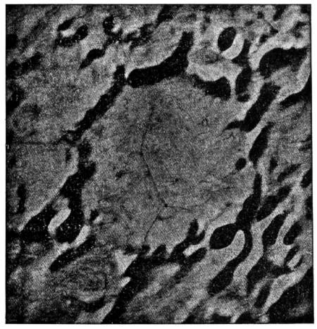 Fig. 73.—Flammarion's Lunar Ring.