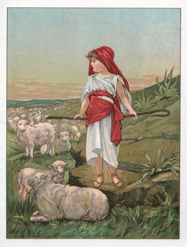The young shepherd boy