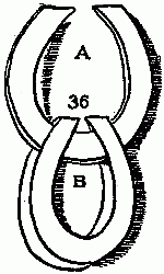 Fig. 36—Make smaller rings like these.