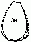 Fig. 38—The pendant.
