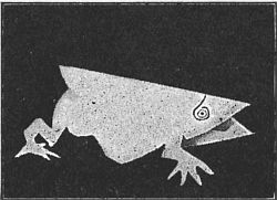 Fig. 86—The side view of the frog shows his beautiful open mouth.