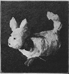 Fig. 111—The doggie's head is large.