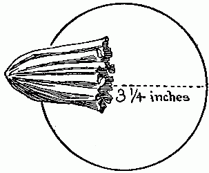 Fig. 242—Make the bud of a circle.