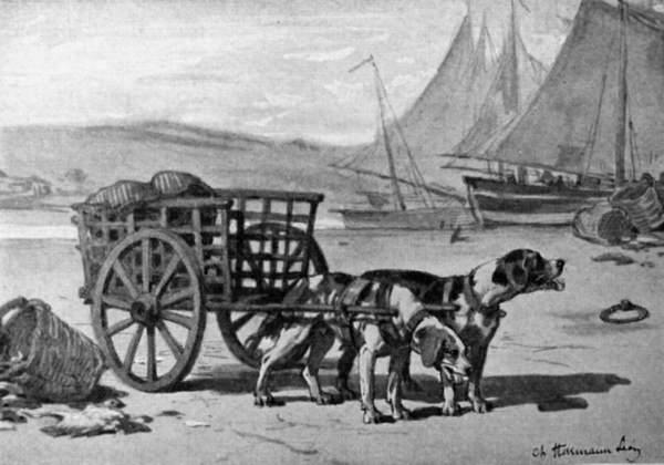 Two Dutch dogs in harness pulling a cart, a harbour in the background.