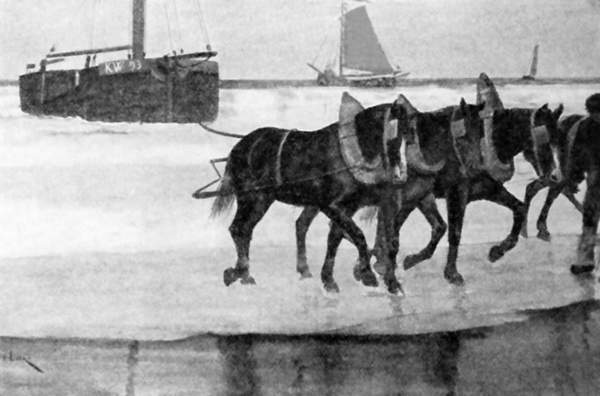 A group of horses towing a boat.