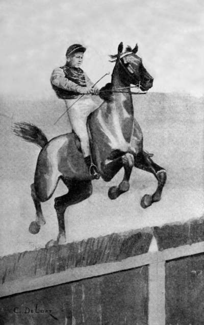Rider and horse jumping over a hurdle.