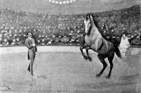 A horse performing in a circus.